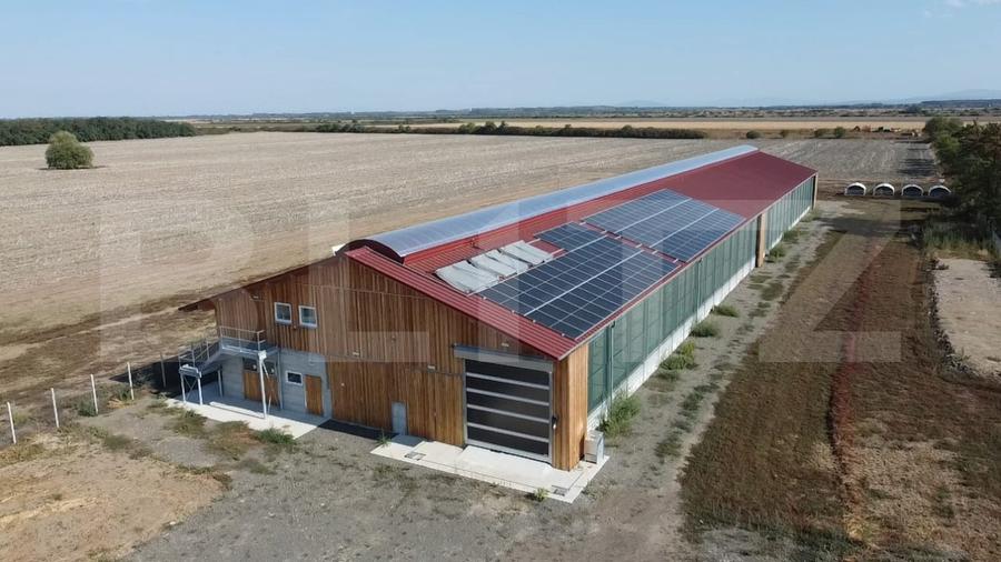 Ferma noua, moderna si complet utilata, de bovine de inchiriat, 1900 mp, Lazuri