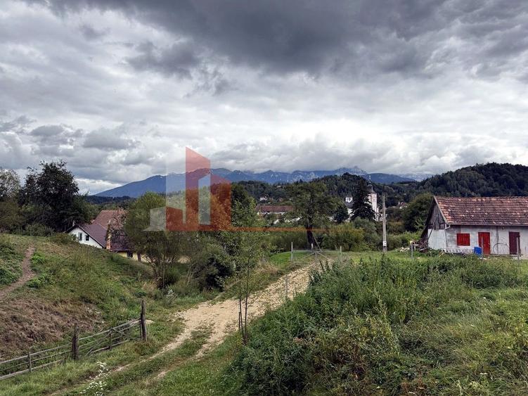 Teren de investiție în Moieciu, lângă Castelul Bran – 11.381 mp, vedere Bucegi