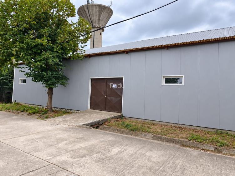 Complex industrial Maracineni / Hale 278-1200mp / Acces direct DN73, TIR - 3