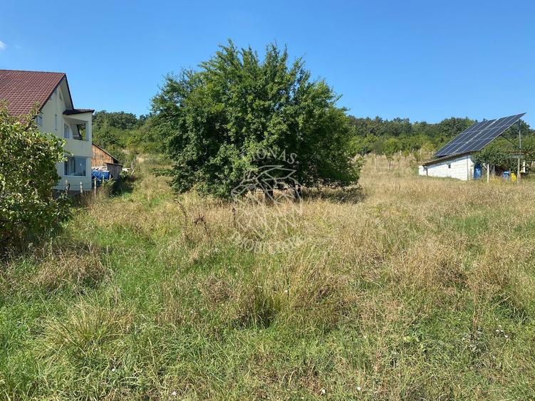 Teren intravilan 1300 mp-Viile cu Pomi-Unirea-Exclusiv