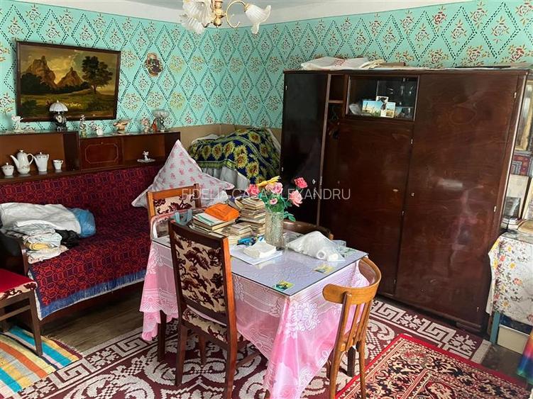 Casa locuibila de vanzare in Dancu - 2