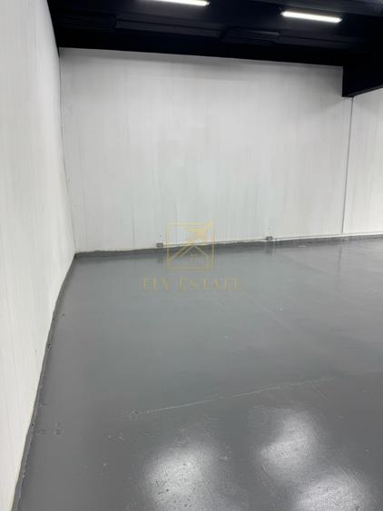Spatiu Industrial | Pallady
