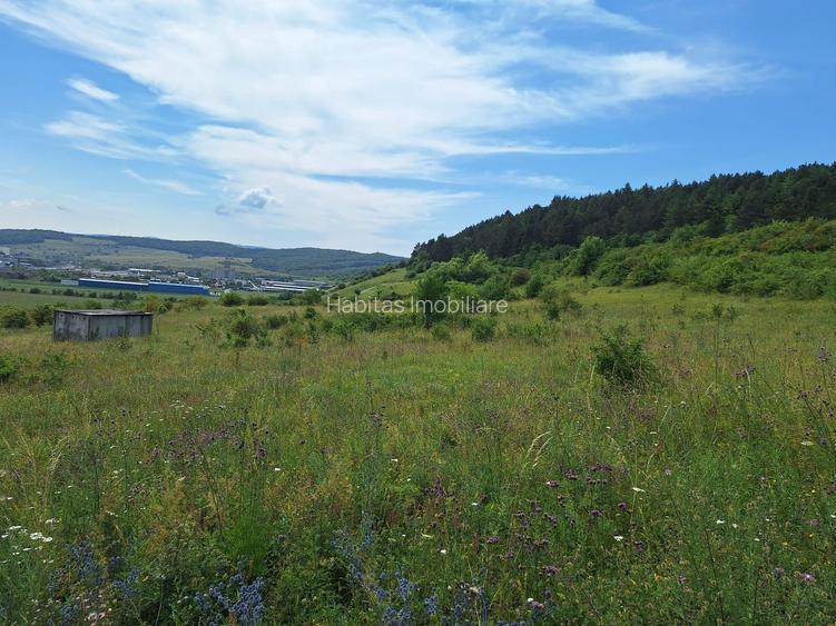 Teren intravilan 5.800 mp, Baciu Vatra Satului Vechi, Panorama superba - 7