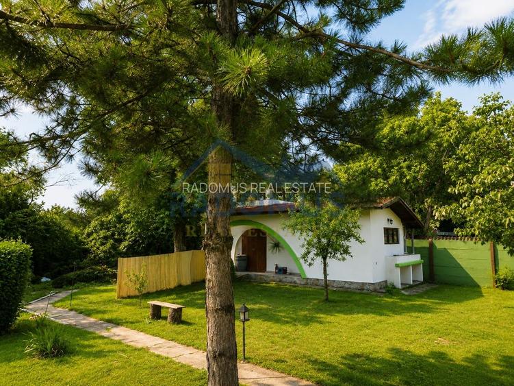 Proprietate Premium | 2 Case | Piscină | Teren 2.000 mp | Mobilată - 27