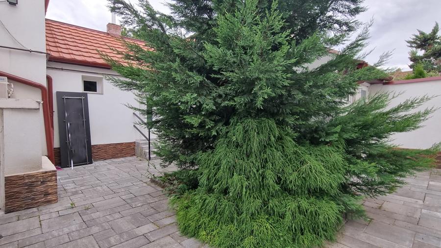 Casa de inchiriat zona semicentrala Avram Iancu