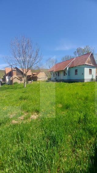 Casă autentică 3.100 mp teren, livadă si parau I Lisnau
