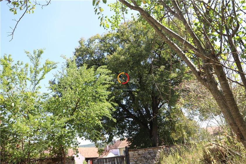 casa traditionala Bruiu Somartin judet Sibiu