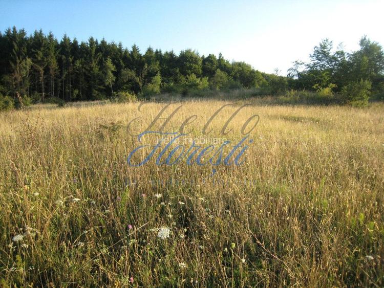 Oportunitate de Investiție – Teren Intravilan 5.700 mp, Chinteni - 2