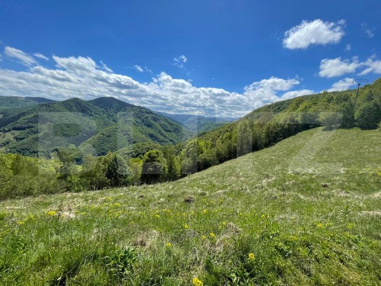 Intravilan de vânzare în Satul Plopi, se poate parcela Comuna Valea Ierii !