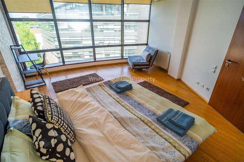 Apartament 2 camere,, pretabil rezidential sau office, vanzare Herastrau - 7