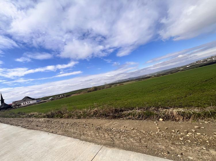 Teren de Vanzare 85 Ari I Suceava/Sf.Ecaterina I 345.000E