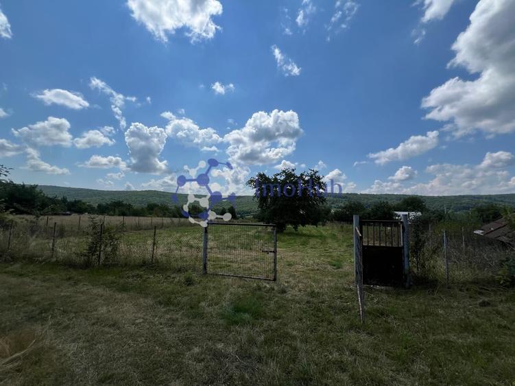 Teren de vânzare 2.531 mp Centrul satului Poieni, Priveliste spre padure