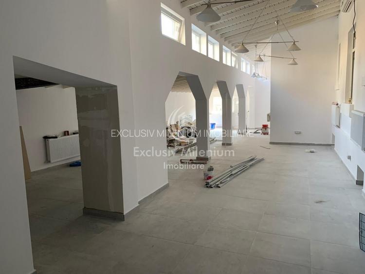 Casa/Vila Stefan cel Mare - Piata Gemeni-Dacia Birouri - 2