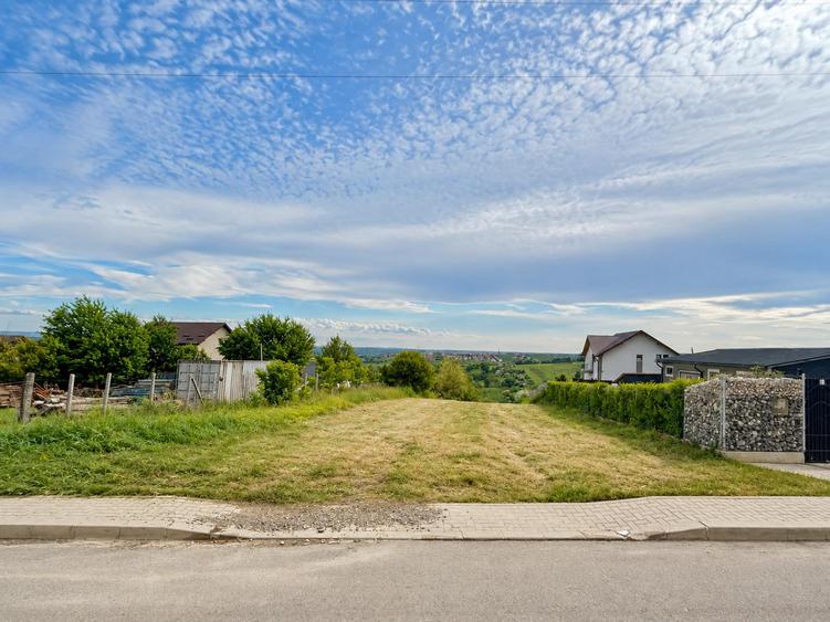 Teren intravilan Valea Lupului, Iași str 1 Decembrie, 3.271 mp, 19 ml deschidere, utilități, 53 €/mp