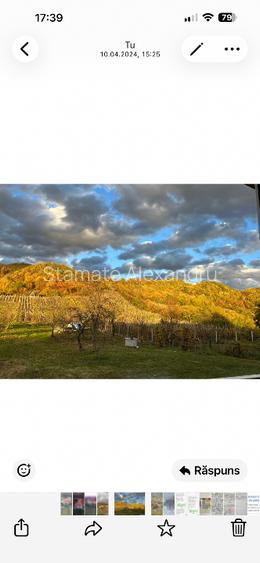 Vinzare casa si teren cu vie  - 2