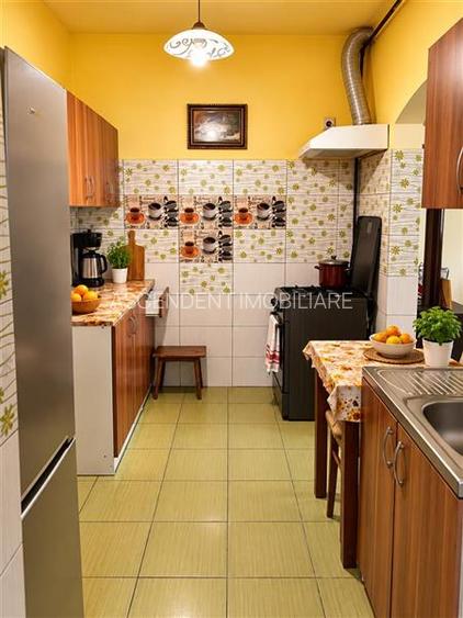 Casa 4 camere,farmec autentic,echipata, mansarda,curte relaxanta,Santana de Mure - 5