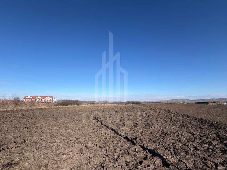 Teren de vânzare – 3.500 mp | 30 €/mp | Ocna Sibiului