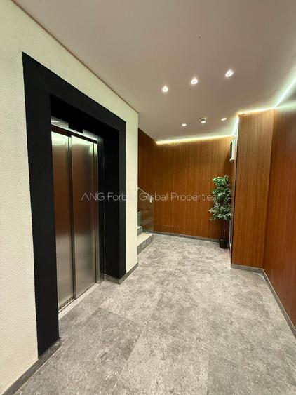 Proiect Boutique, Ferdinand, 3 camere