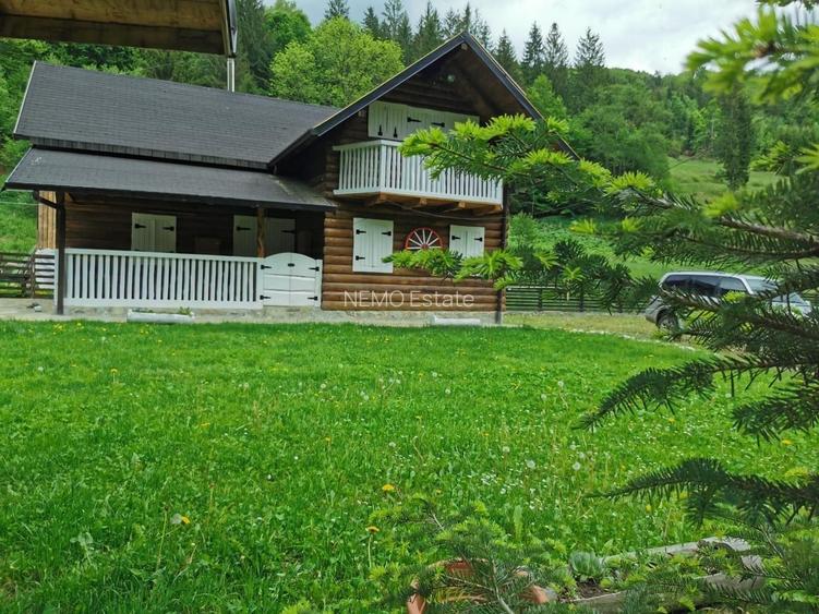 🌲 Cabana de Poveste | Molid – Vama - 2