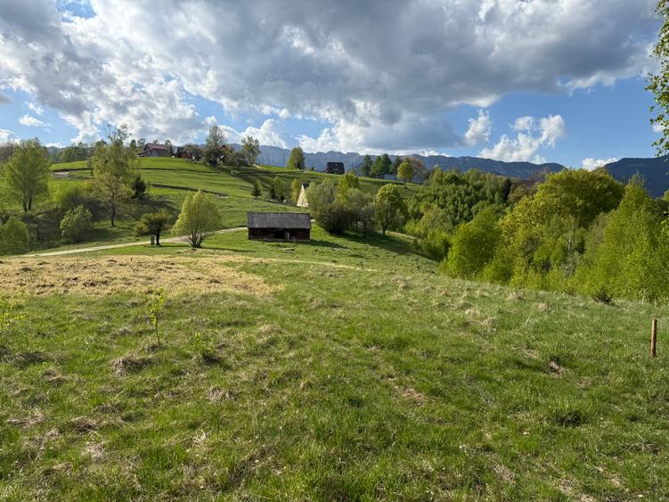 Teren intravilan 1000 mp in satul Pestera, Comuna Moieciu la 12 km de Bran
