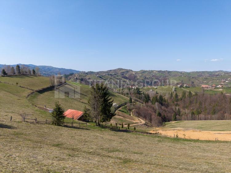 🌿 Teren Intravilan 3.791 mp | Priveliște Panoramică Superbă | Poiana Mărului