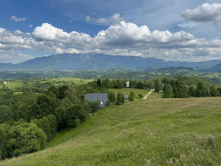 Teren inconjurat de natura de vanzare in Pestera