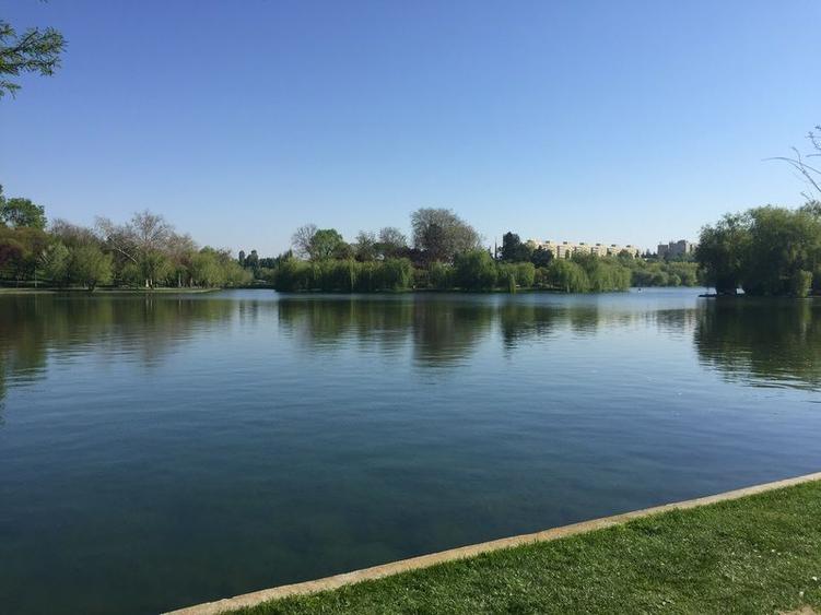 Garsonieră anul 1980 Parc IOR Park Lake 31 mp