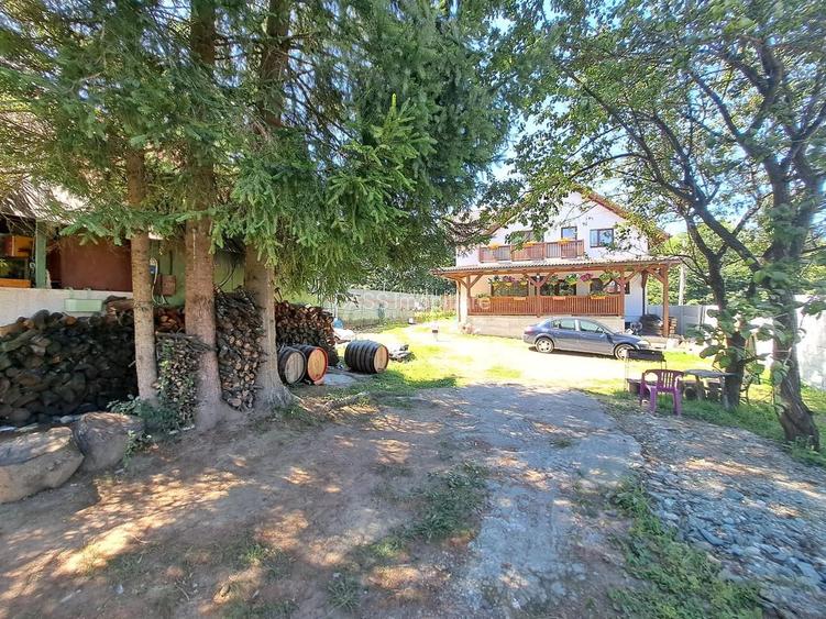 De inchiriat Casa moderna 160 mp teren 1000 mp Tocile Sadu - 9