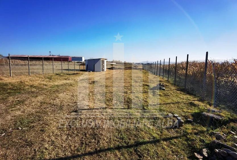 Teren intravilan | 1800 mp | 14 ml deschidere | Alba-Micesti