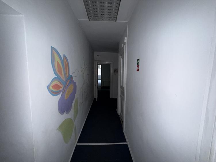 Vânzare ansamblu 2 Case 10 camere în Timpuri Noi cu curte privata