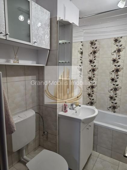 Inchiriere Apartament 2 camere Lipovei - 14