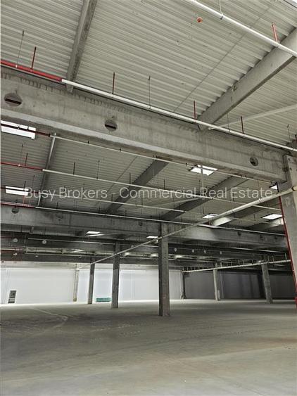 Spatiu Industrial - 9500 mp - Logistica - Productie - Depozitare - Distributie - 21