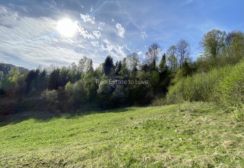 Teren panoramic însorit, utilități, panta mica si pădure, turism sau vacanță - 7