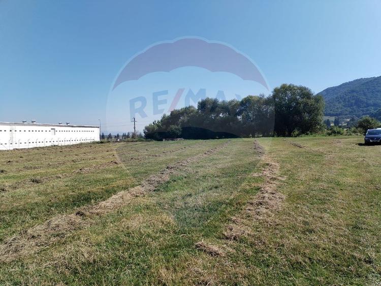 Teren intravilan de vânzare – 3.700 mp – Brasov / Strada Cucului