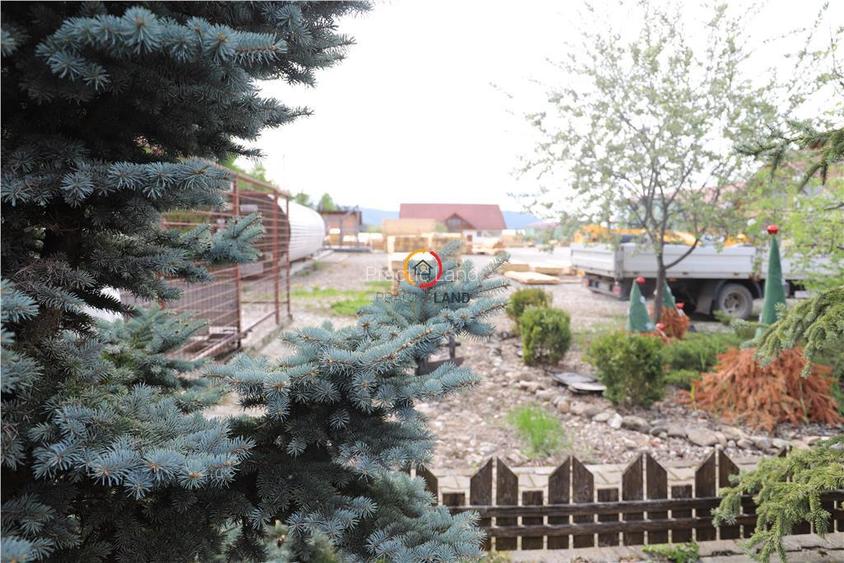 constructii si teren  intravilan18.000 mp - 10