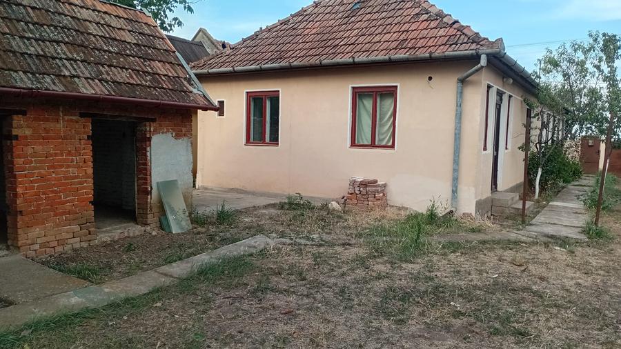 Vanzare Casa in localitatea Bodrogu Nou
