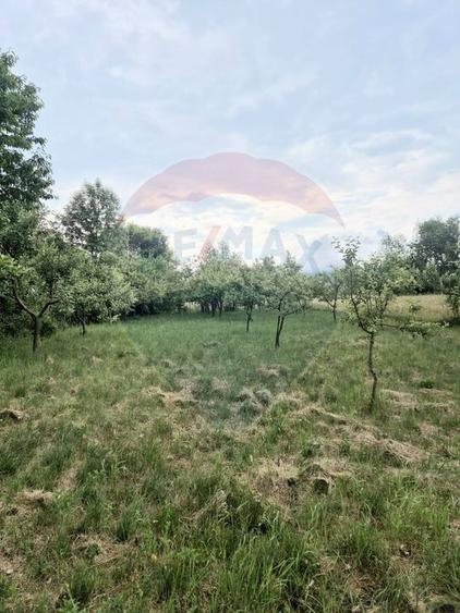 Teren 2,255mp Sighetu Marmatiei / Strada Lazul Sesului