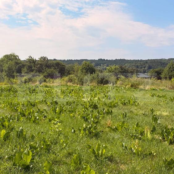 Teren intravilan, 3600 mp, în Bogdănești, zona Profi