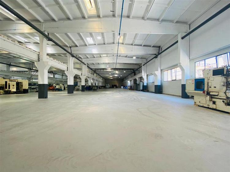 Hale Calea Chisinaului Iasi aproape de Carrefour de la 65mp la 2000mp