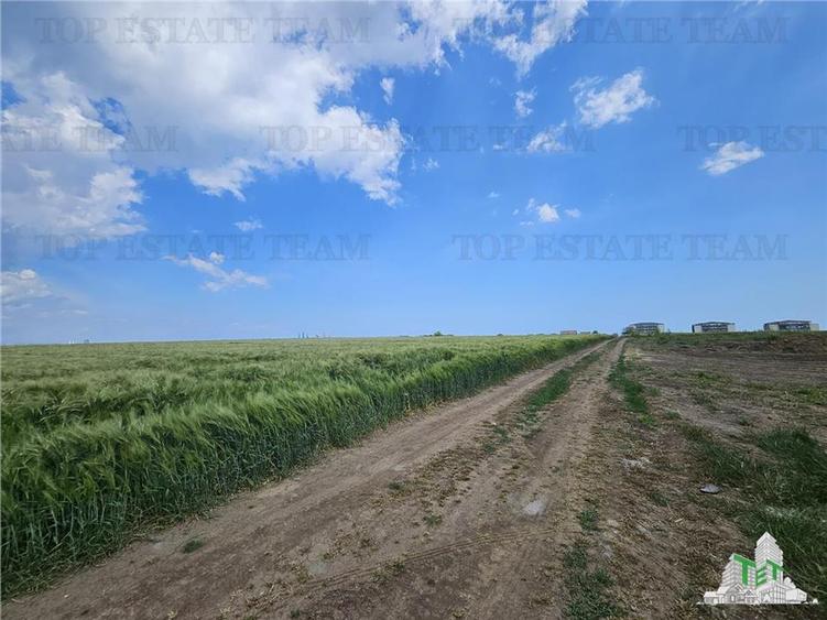 TEREN INTRAVILAN 50000 MP AGIGEA ZONA RO RO
