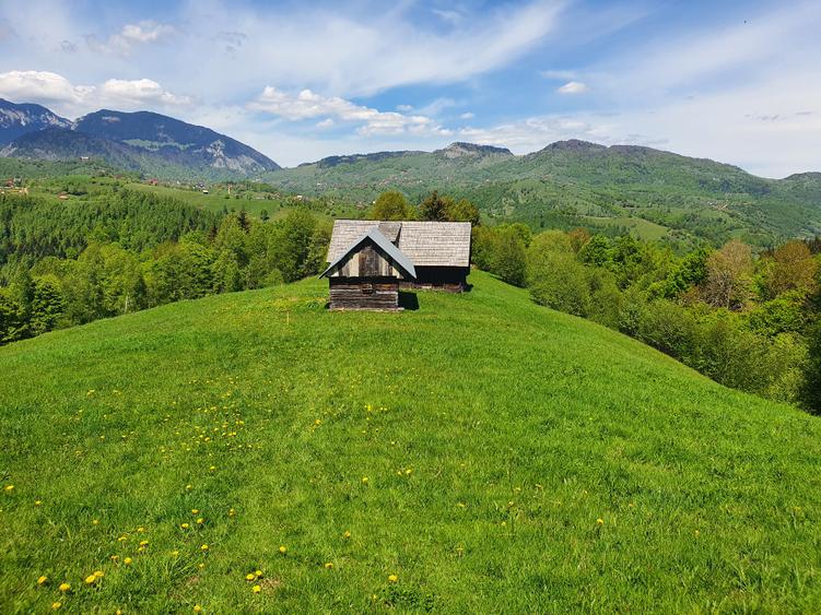 Teren Drumul Carului 3.8 ha