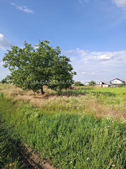 TEREN DE VANZARE - 4