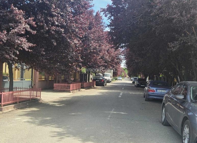 Casa individuala în zona lac/pădure Dumbrăvița  - 4