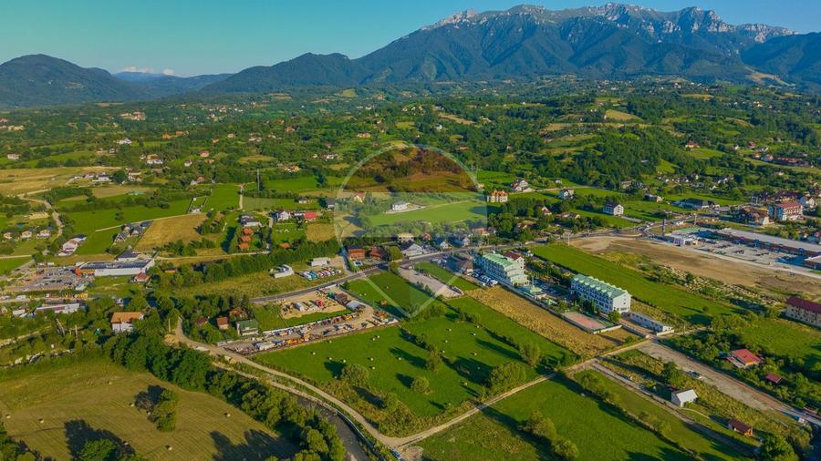 Teren intravilan 7.660 mp lângă Bran, panoramă 360°, comision 0%