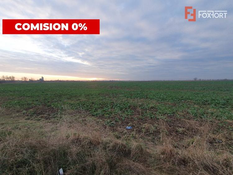 COMISION 0% Teren extravilan 20.000 mp la sosea in Sag