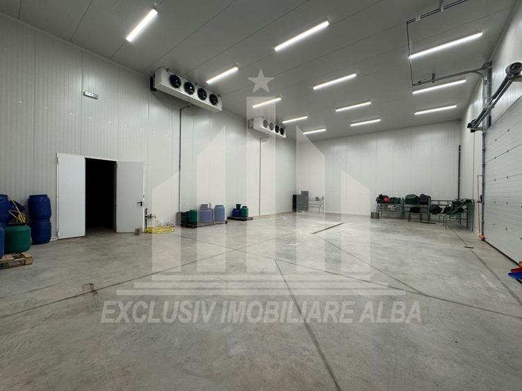 Spatiu industrial frigorific | 1200 mp | 8 m inaltime | 6000 mp teren
