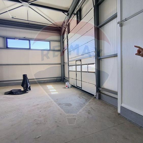 Hale noi de inchiriat Domnesti - putere instalata pana la 600kva