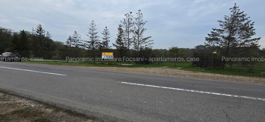 LIVADA  DE VANZARE FOCSANI-DUMBRAVITA  1,8  HA - 32
