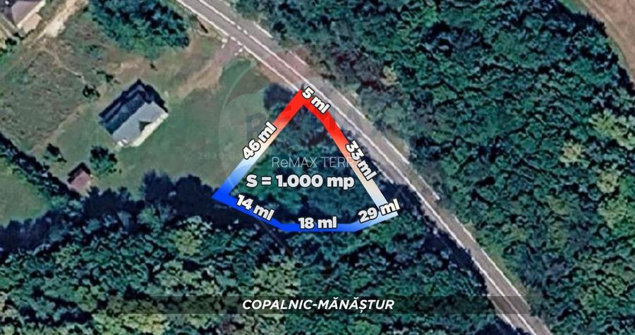 Teren de vânzare Curtuiusu Mic - 2