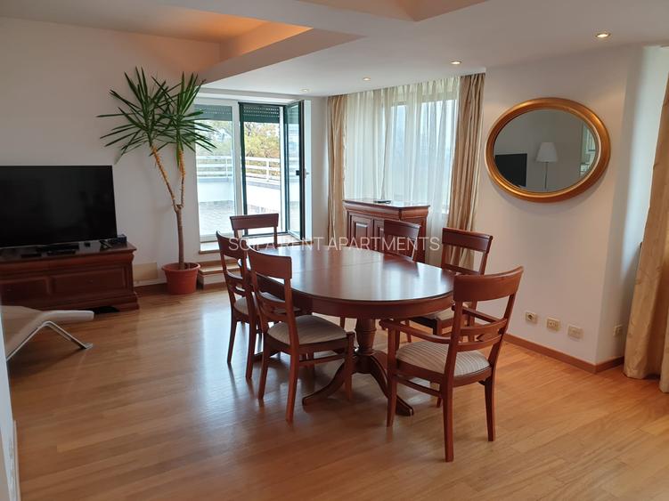 Vanzare apartament penthouse Gradina Icoanei - 14